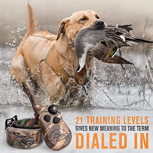 SportDOG Brand 425 - Collar electrónico con control remoto (500 yardas, estático, vibratorio y tono, impermeable, recargable, incluye nueva serie X), Original (versión antigua), Negro