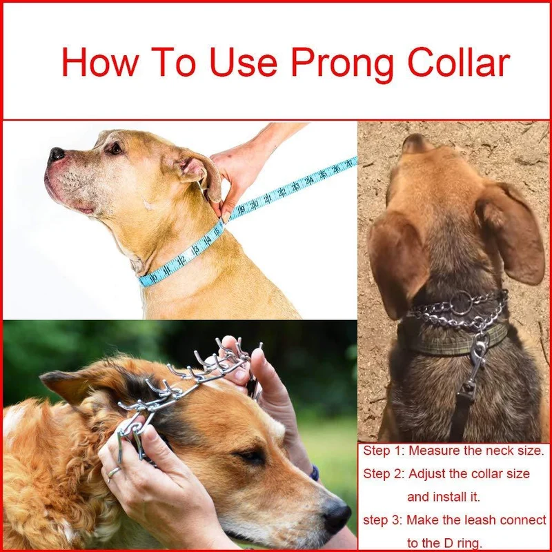 Aheasoun Collar de perro, de acero cromado para perros, collar de perro, con puntas de goma, seguro y ajustable, grande de 0.157 in