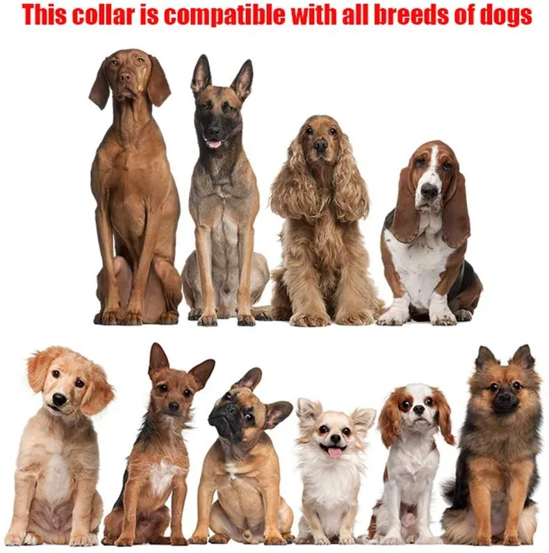 Aheasoun Collar de perro, de acero cromado para perros, collar de perro, con puntas de goma, seguro y ajustable, grande de 0.157 in
