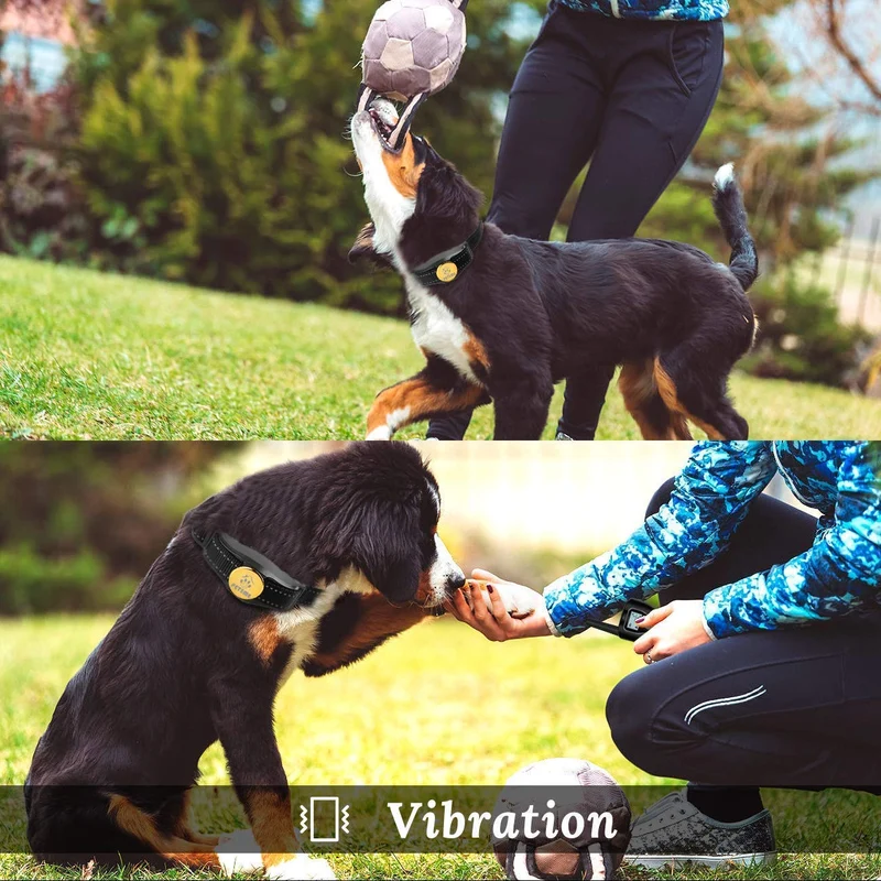 Peteme Dog Training Shock Collar Rechargeable with Beep/Vibra/Electric Shock,100% Waterproof, 1200 ft Remote Trainer Range Collar for Small Medium Large Dogs.
