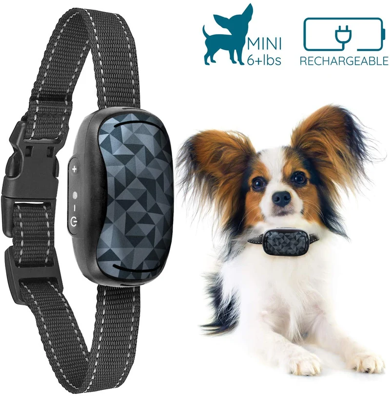 GoodBoy - Collar pequeño para perros pequeños y medianos, resistente a la intemperie y vibrante, con dispositivo de entrenamiento antiladrillos que es el más pequeño y seguro en Amazon – ¡sin choques ni pinzas con pinchos! (6+ lb)