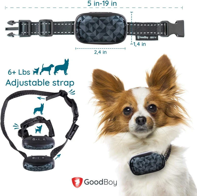 GoodBoy - Collar pequeño para perros pequeños y medianos, resistente a la intemperie y vibrante, con dispositivo de entrenamiento antiladrillos que es el más pequeño y seguro en Amazon – ¡sin choques ni pinzas con pinchos! (6+ lb)
