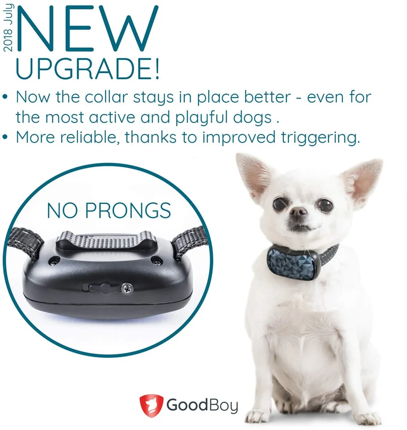 GoodBoy - Collar pequeño para perros pequeños y medianos, resistente a la intemperie y vibrante, con dispositivo de entrenamiento antiladrillos que es el más pequeño y seguro en Amazon – ¡sin choques ni pinzas con pinchos! (6+ lb)