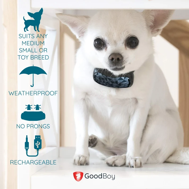 GoodBoy - Collar pequeño para perros pequeños y medianos, resistente a la intemperie y vibrante, con dispositivo de entrenamiento antiladrillos que es el más pequeño y seguro en Amazon – ¡sin choques ni pinzas con pinchos! (6+ lb)