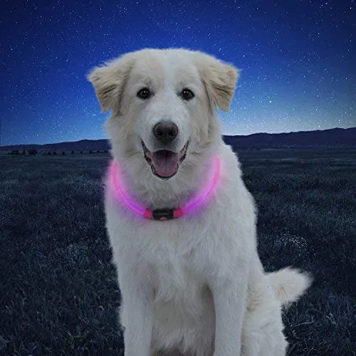 NiteHowl LED Safety Necklace, Universal, Reusable Visibility Necklace for Pets