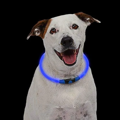 NiteHowl LED Safety Necklace, Universal, Reusable Visibility Necklace for Pets