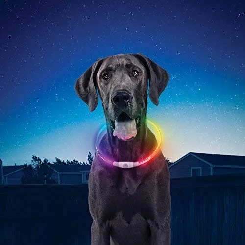 NiteHowl LED Safety Necklace, Universal, Reusable Visibility Necklace for Pets