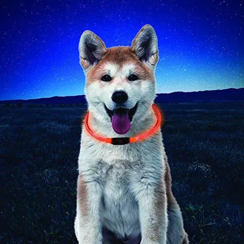 NiteHowl LED Safety Necklace, Universal, Reusable Visibility Necklace for Pets