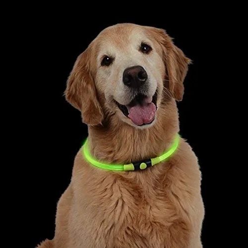 NiteHowl LED Safety Necklace, Universal, Reusable Visibility Necklace for Pets