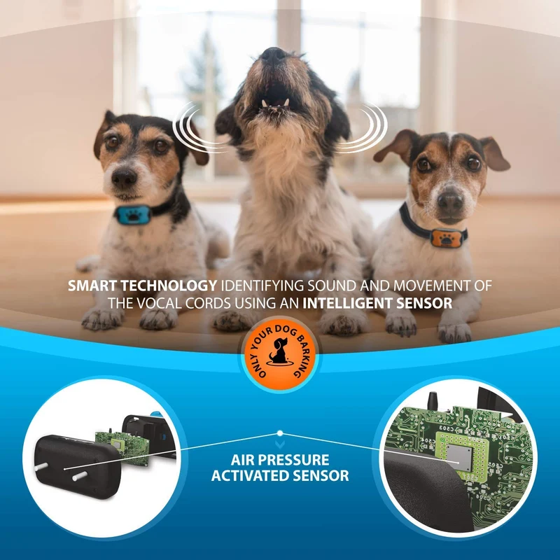 SparklyPets - Collar de corteza para perro (2 unidades)
