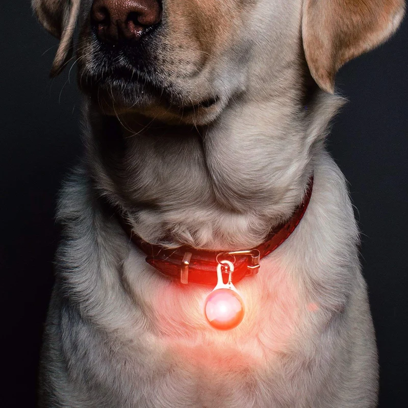 6 Pack impermeable SpotLit perro/gato collar Luz, Luces LED de seguridad para perros y gatos, resistente a la intemperie Light Up Perro Cuello con 3 modos de parpadeo, con 6 Extra Baterías de reemplazo, 6 unidades