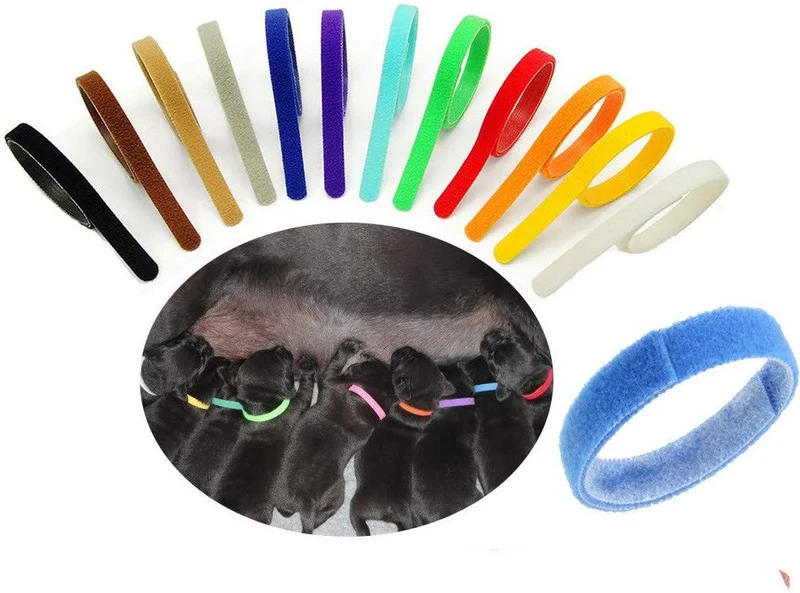 Floranea - 12 collares para cachorros de doble cara, multicolor, ajustables, reutilizables, cómodos, de tela suave, para perros pequeños, mascotas, gatos, recién nacidos, gatitos