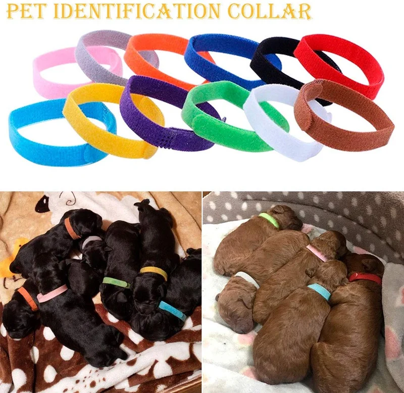 Floranea - 12 collares para cachorros de doble cara, multicolor, ajustables, reutilizables, cómodos, de tela suave, para perros pequeños, mascotas, gatos, recién nacidos, gatitos