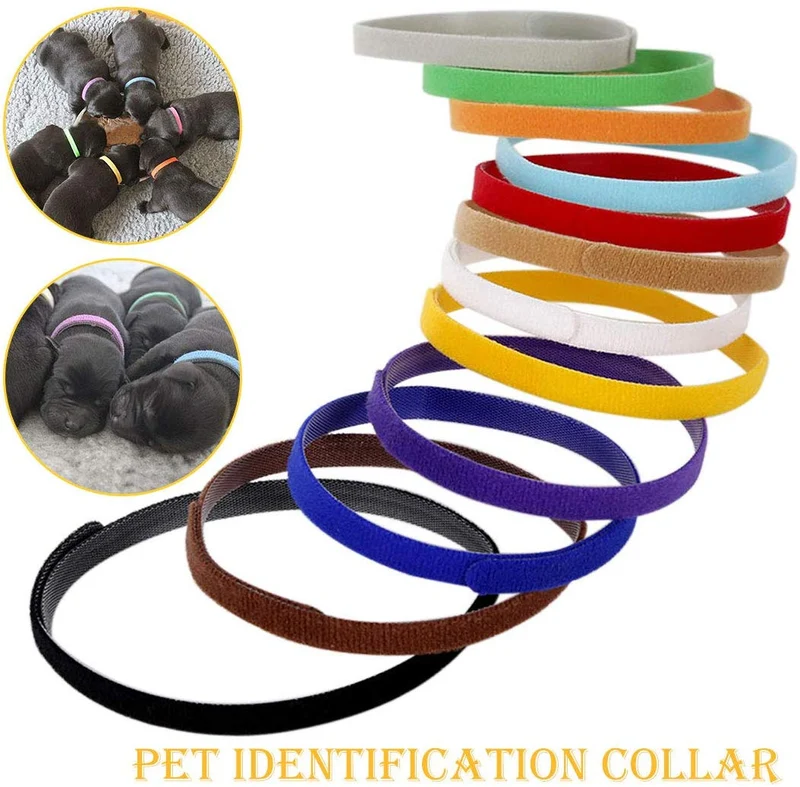 Floranea - 12 collares para cachorros de doble cara, multicolor, ajustables, reutilizables, cómodos, de tela suave, para perros pequeños, mascotas, gatos, recién nacidos, gatitos