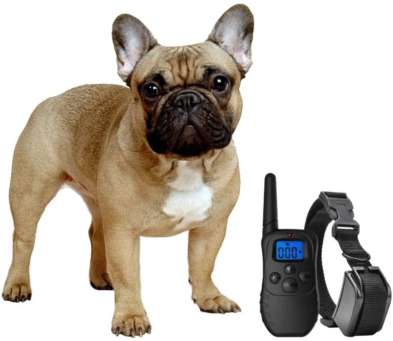 eXuby Collar de Golpe para Perros Pequeños con Mando a Distancia - Incluye 2 Collares (Pequeño y Mediano) + Entrenamiento Gratis Clicker Perro - 3 Modos (Sonido, vibración y Golpeo) - Ahorra dinero con Baterías Recargables