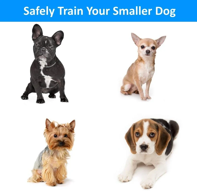 eXuby Collar de Golpe para Perros Pequeños con Mando a Distancia - Incluye 2 Collares (Pequeño y Mediano) + Entrenamiento Gratis Clicker Perro - 3 Modos (Sonido, vibración y Golpeo) - Ahorra dinero con Baterías Recargables
