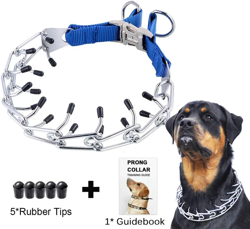Mayerzon Collar de entrenamiento para perro, acero inoxidable, con puntas cómodas
