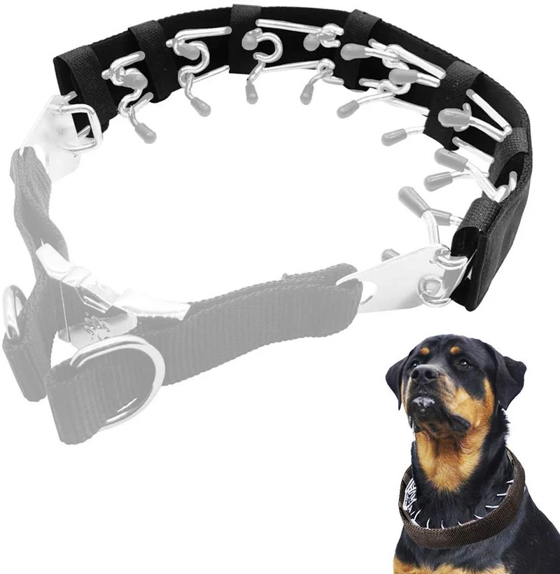 Mayerzon Collar de entrenamiento para perro, acero inoxidable, con puntas cómodas