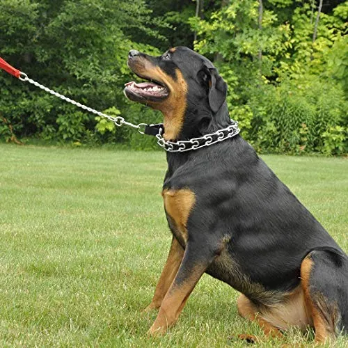 Mayerzon Collar de entrenamiento para perro, acero inoxidable, con puntas cómodas