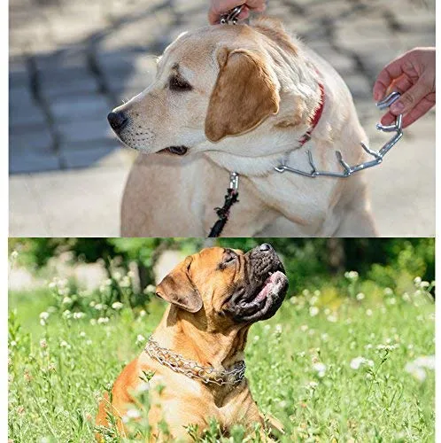 Mayerzon Collar de entrenamiento para perro, acero inoxidable, con puntas cómodas