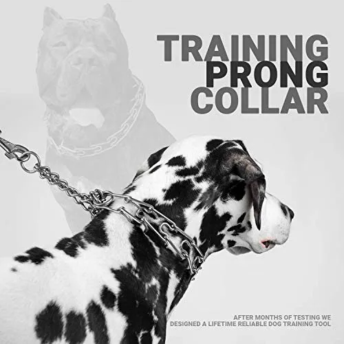 Mayerzon Collar de entrenamiento para perro, acero inoxidable, con puntas cómodas