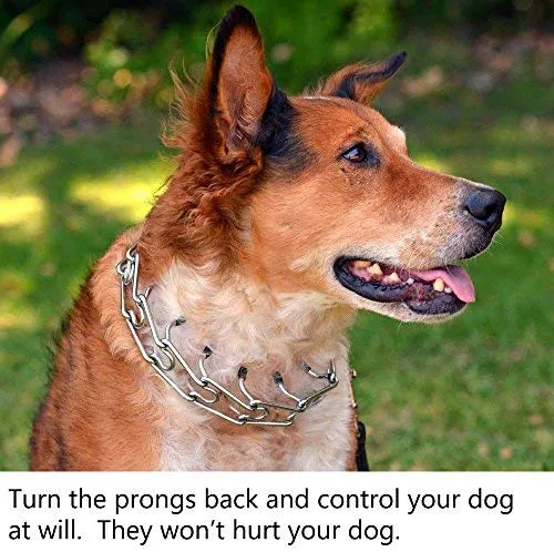Mayerzon Collar de entrenamiento para perro, acero inoxidable, con puntas cómodas
