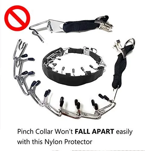 Mayerzon Collar de entrenamiento para perro, acero inoxidable, con puntas cómodas