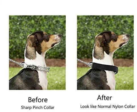 Mayerzon Collar de entrenamiento para perro, acero inoxidable, con puntas cómodas