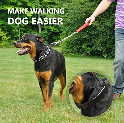 Mayerzon Collar de entrenamiento para perro, acero inoxidable, con puntas cómodas