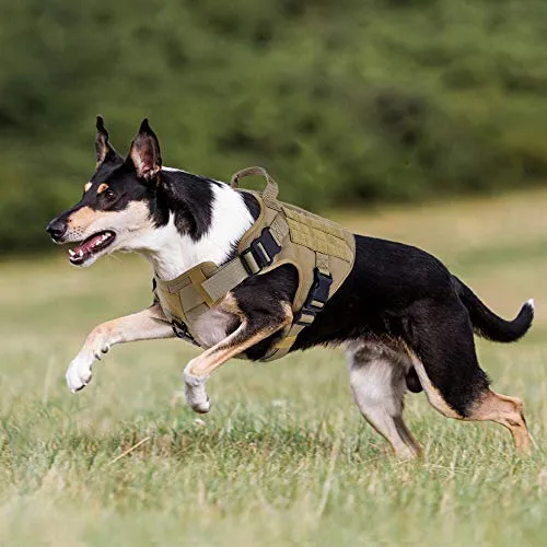 Rabbitgoo Tactical Dog Harness Vest Large with Handle, Military Working Dog Molle Vest with Metal Buckles & Loop Panels, No-Pull Adjustable Training Harness with Leash Clips for Walking Hiking Hunting
