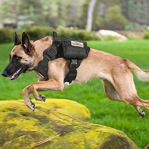 Rabbitgoo Tactical Dog Harness Vest Large with Handle, Military Working Dog Molle Vest with Metal Buckles & Loop Panels, No-Pull Adjustable Training Harness with Leash Clips for Walking Hiking Hunting