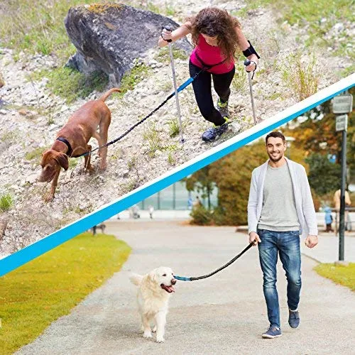 SparklyPets Hands-Free Dog Leash for Medium and Large Dogs – Professional Harness with Reflective Stitches for Training, Walking, Jogging and Running Your Pet