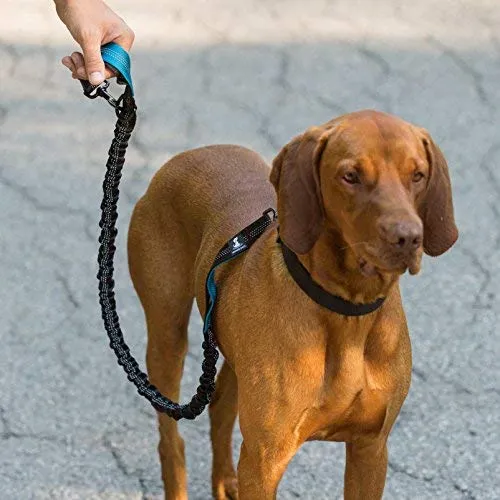 SparklyPets Hands-Free Dog Leash for Medium and Large Dogs – Professional Harness with Reflective Stitches for Training, Walking, Jogging and Running Your Pet