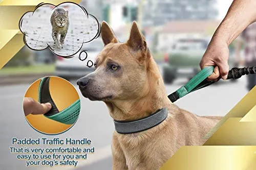 SparklyPets Hands-Free Dog Leash for Medium and Large Dogs – Professional Harness with Reflective Stitches for Training, Walking, Jogging and Running Your Pet