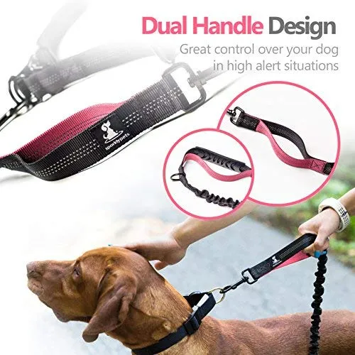 SparklyPets Hands-Free Dog Leash for Medium and Large Dogs – Professional Harness with Reflective Stitches for Training, Walking, Jogging and Running Your Pet