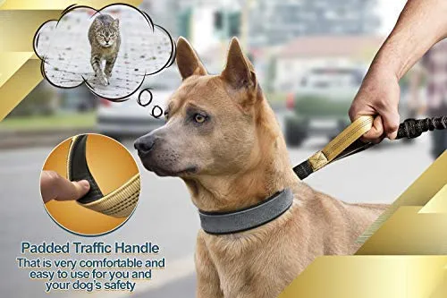 SparklyPets Hands-Free Dog Leash for Medium and Large Dogs – Professional Harness with Reflective Stitches for Training, Walking, Jogging and Running Your Pet