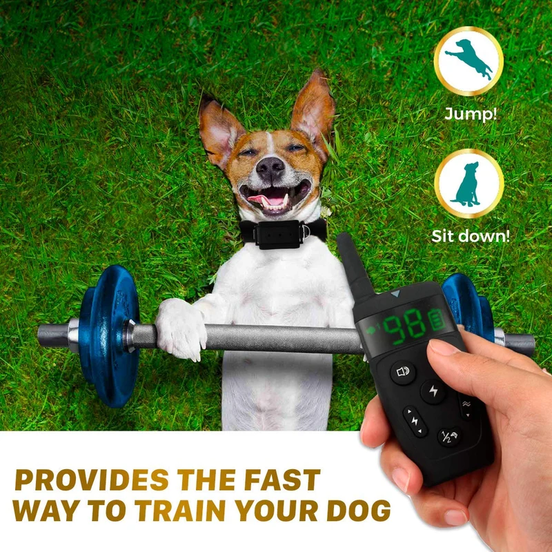TBI Pro - Collar de entrenamiento profesional para perros con mando a distancia (1600 pies)