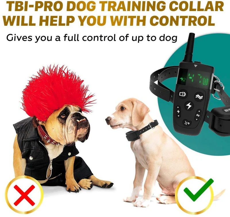 TBI Pro - Collar de entrenamiento profesional para perros con mando a distancia (1600 pies)