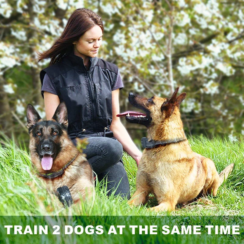 FunniPets Collar de entrenamiento para perro, collar de choque para perro con mando a distancia de 208.7 ft, resistente al agua, collar electrónico para perros de raza mediana y grande con 4 modos de entrenamiento de vibración de choque ligero