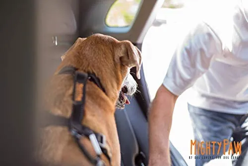 Cinturón de seguridad para perro, material resistente, incluyendo anexo de giro sin enredos, mosquetón y barra apego. De Mighty Paw