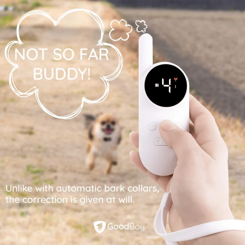 GoodBoy - Mini collar remoto para perros con pitido y modos de vibración para entrenamiento de comportamiento de mascotas, resistente al agua y rango de 1000 pies, apto para perros extra pequeños a medianos (5-15 libras)