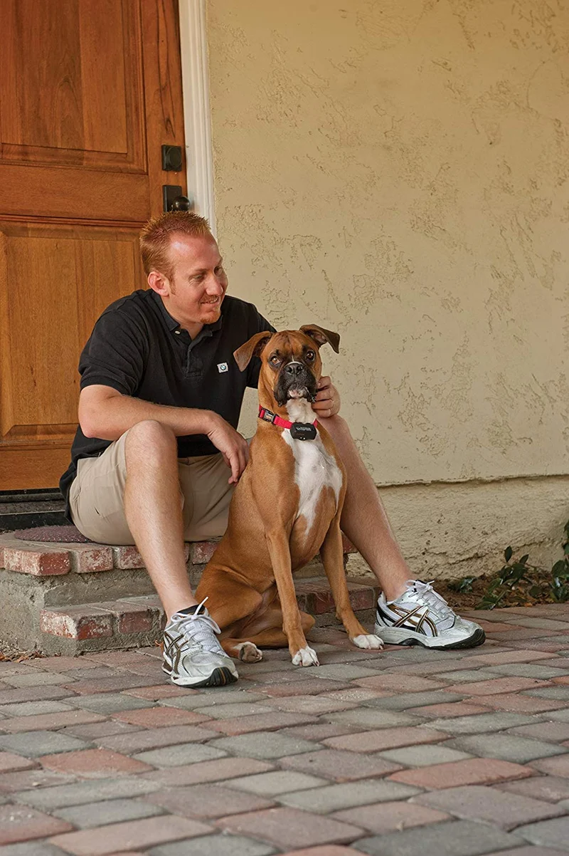 PetSafe Collar básico de control de corteza para perros de 8 libras. y Up, dispositivo de entrenamiento antiladrido, impermeable, corrección estática, canino.