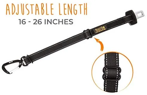 Cinturón de seguridad para perro de la marca Mighty Paw | Cinturón de seguridad para mascotas, creado con material de cinturón de seguridad humano. Hardware de metal con correa de longitud ajustable. Supera los estándares de seguridad para perros. Mantén