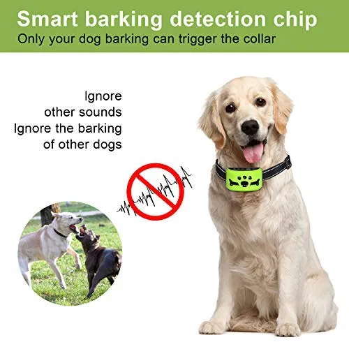 Collar para perro sin ladridos con detección inteligente de vibración y golpes inofensivos – Dispositivo recargable antiladridos para perros pequeños, medianos y grandes