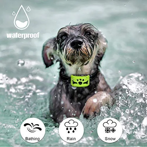 Collar para perro sin ladridos con detección inteligente de vibración y golpes inofensivos – Dispositivo recargable antiladridos para perros pequeños, medianos y grandes