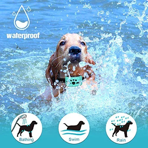 Collar para perro sin ladridos con detección inteligente de vibración y golpes inofensivos – Dispositivo recargable antiladridos para perros pequeños, medianos y grandes