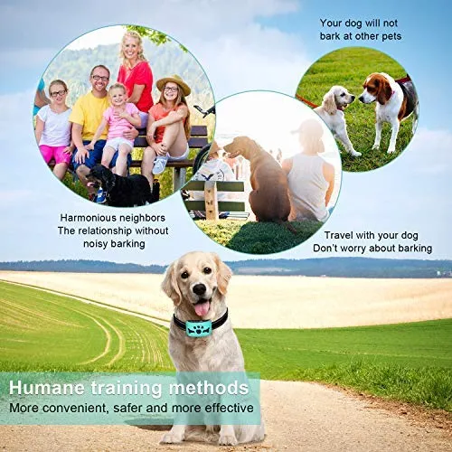 Collar para perro sin ladridos con detección inteligente de vibración y golpes inofensivos – Dispositivo recargable antiladridos para perros pequeños, medianos y grandes