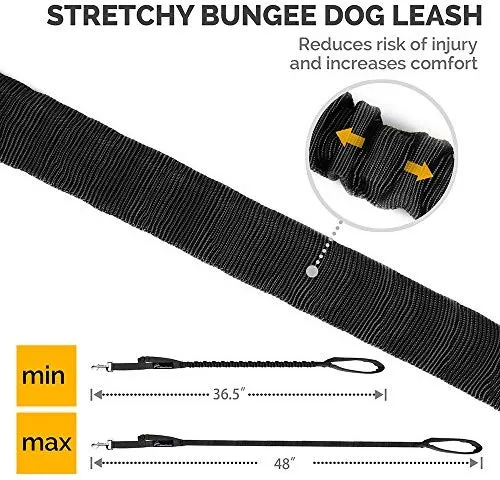 Correa de cuerda elástica para perros Outdoormaster; para mayor seguridad y comodidad de su perro.
