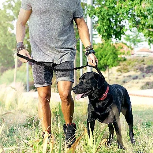 Correa de cuerda elástica para perros Outdoormaster; para mayor seguridad y comodidad de su perro.