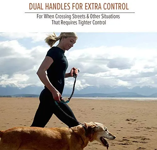 Correa de cuerda elástica para perros Outdoormaster; para mayor seguridad y comodidad de su perro.